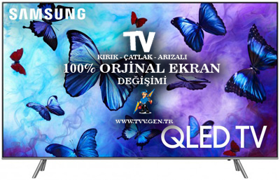 Samsung QE55Q6F Tv Ekran Paneli